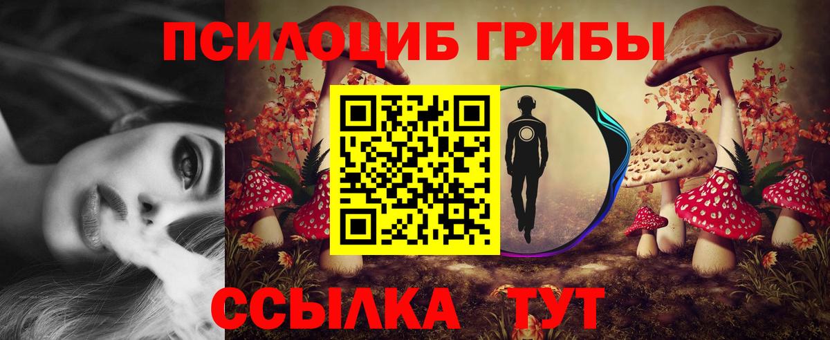 Гусиноозёрск  Псилоцибиновые грибы Psilocybe  Вход с VPN  Псилоцибиновые грибы MAGIC MUSHROOMS 