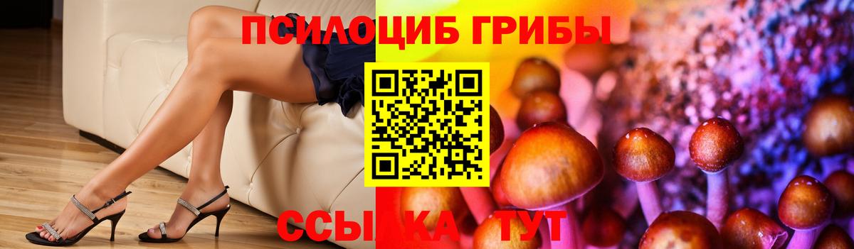 Псилоцибиновые грибы GOLDEN TEACHER Гусиноозёрск